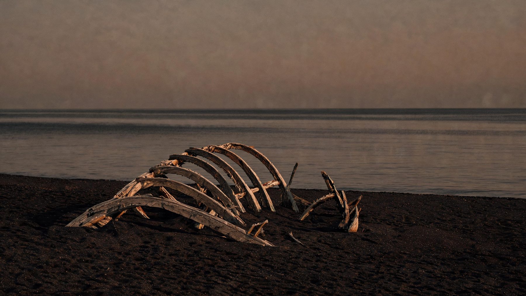 The broken wooden ribs of a ship's hull half buried in dark sand